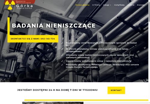 BADANIA NIENISZCZĄCE GÓRKA DAWID GÓRKA